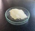 Ot Paste 60
